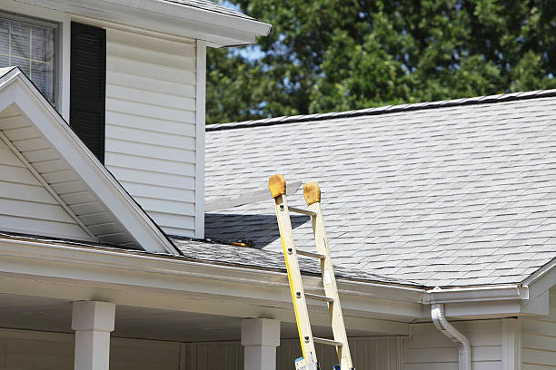Best Siding Painting and Refinishing  in Penryn, CA